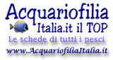 acquariofiliaitalia