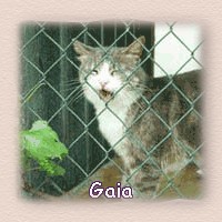 Gaia