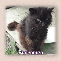 borromeo