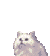 gatto