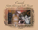 Cuccioli Gatti Norvegesi delle Foreste