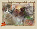 Gatti Norvegesi delle Foreste