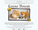 Corona Boreale