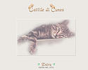 gattile-di-cuneo