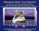 lillycoons