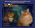 Re Leone