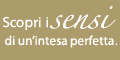 concorso sheba