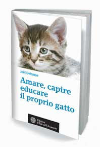 il gatto