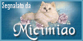 micimiao